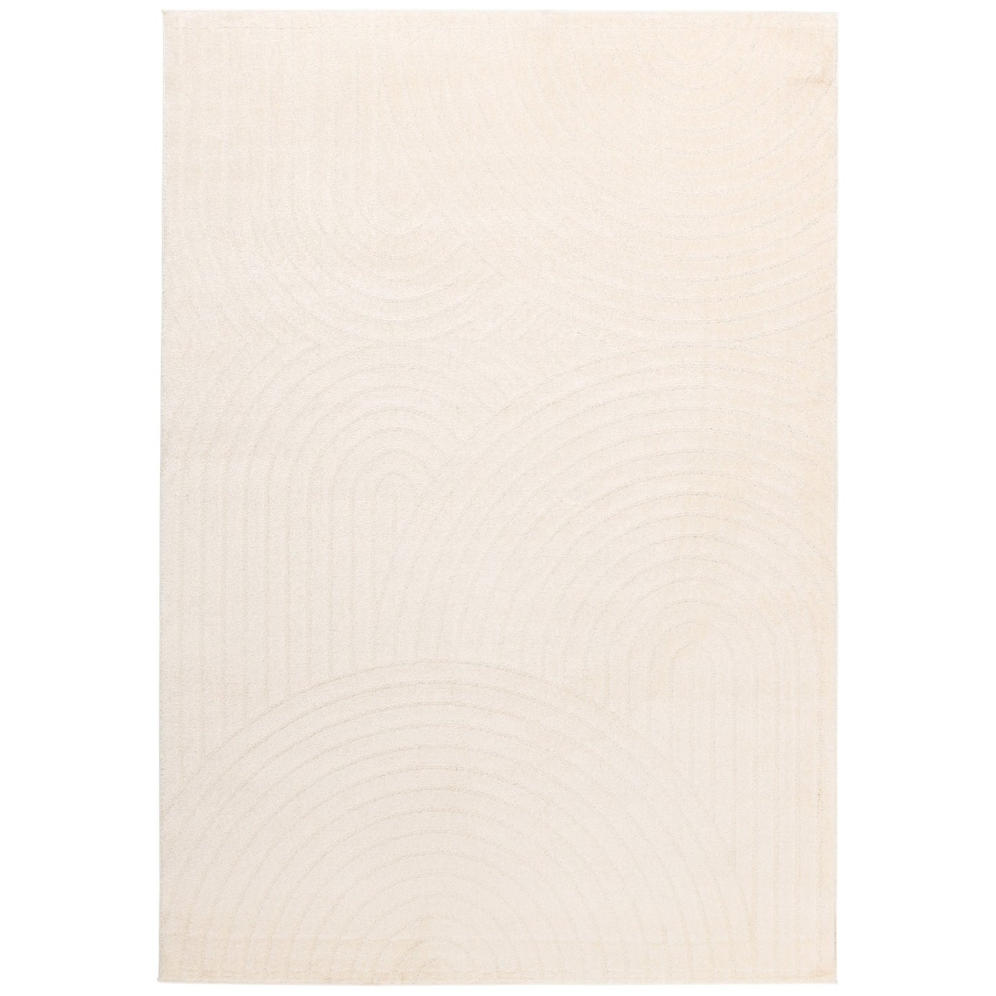 AREA RUG M- 40521
