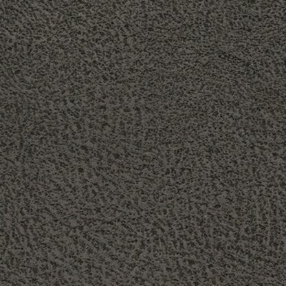 Navi Queen Sofa Sleeper - Smoke / Fossil