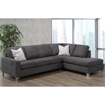 Arlo 2-Piece Sectional 9851 - Anthracite / Silver