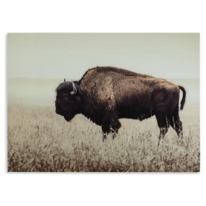 Brutus Wall Art