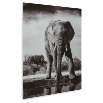 Glinyard Wall Art